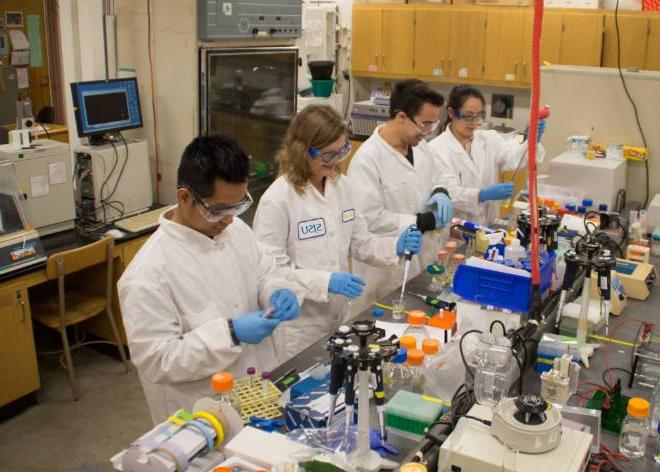 Students conducting lab experiments